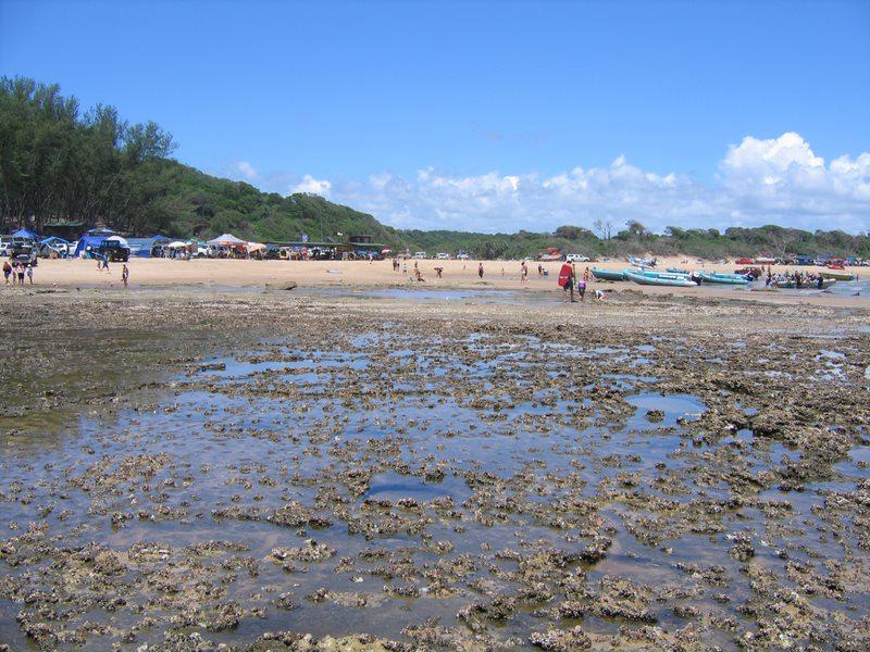 WhatsApp Image 2024-10-04 at 14_44_24_24b2146f - C